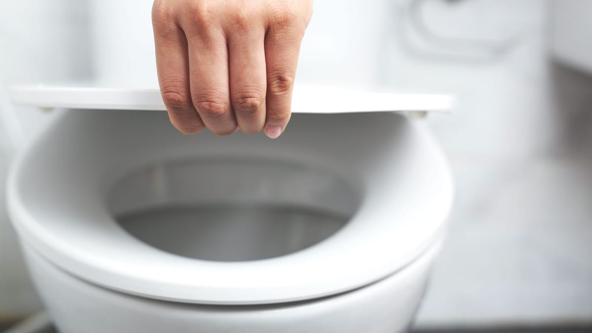 Urinstein oder Kalk: Ablagerung in der Toilette richtig entfernen