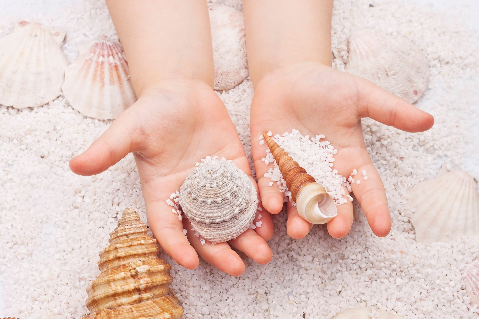 Beschäftigung für die Kleinen: Für viele Familien gehört das Sammeln von Muscheln zum Strandurlaub dazu.