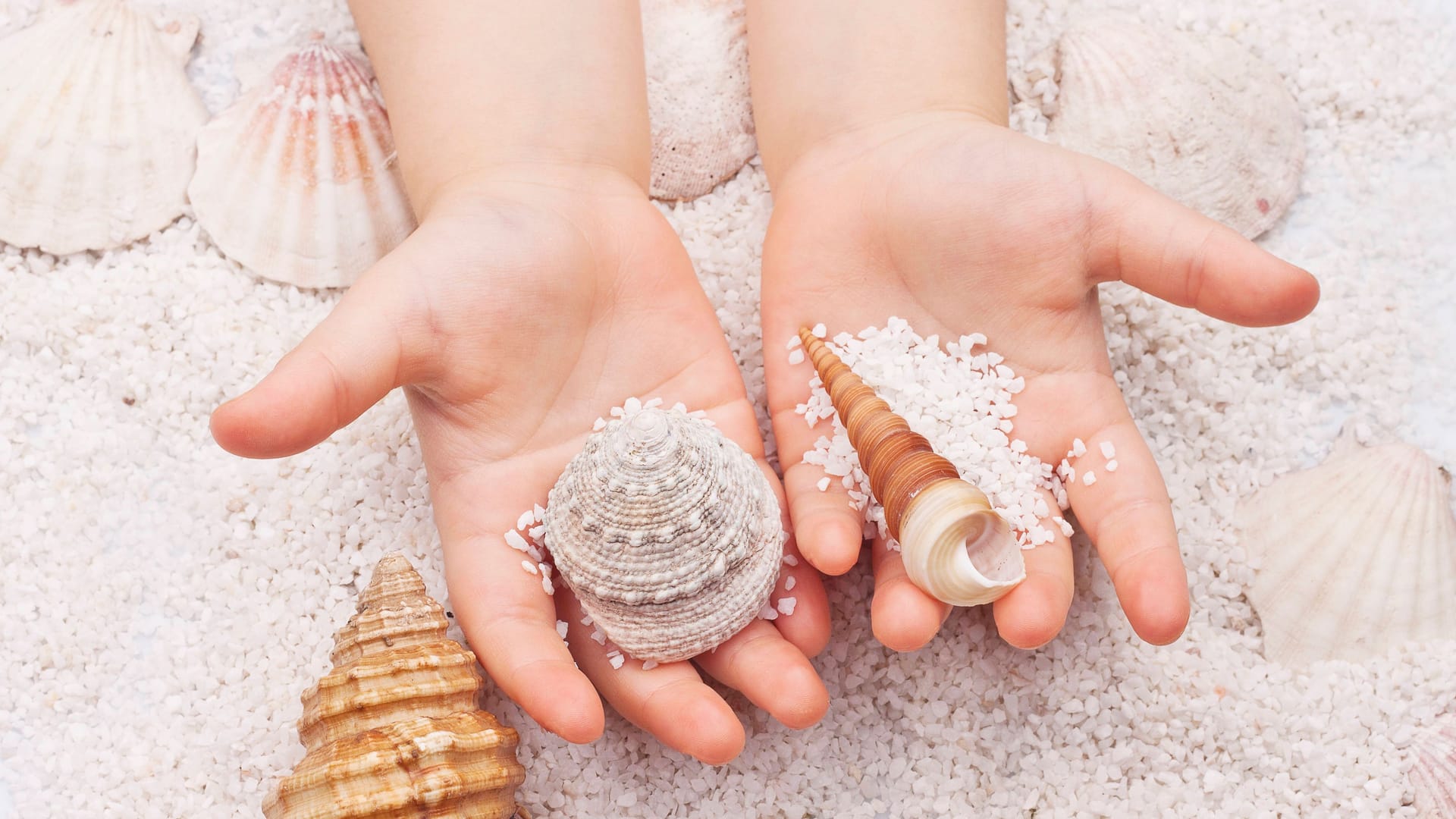 Beschäftigung für die Kleinen: Für viele Familien gehört das Sammeln von Muscheln zum Strandurlaub dazu.