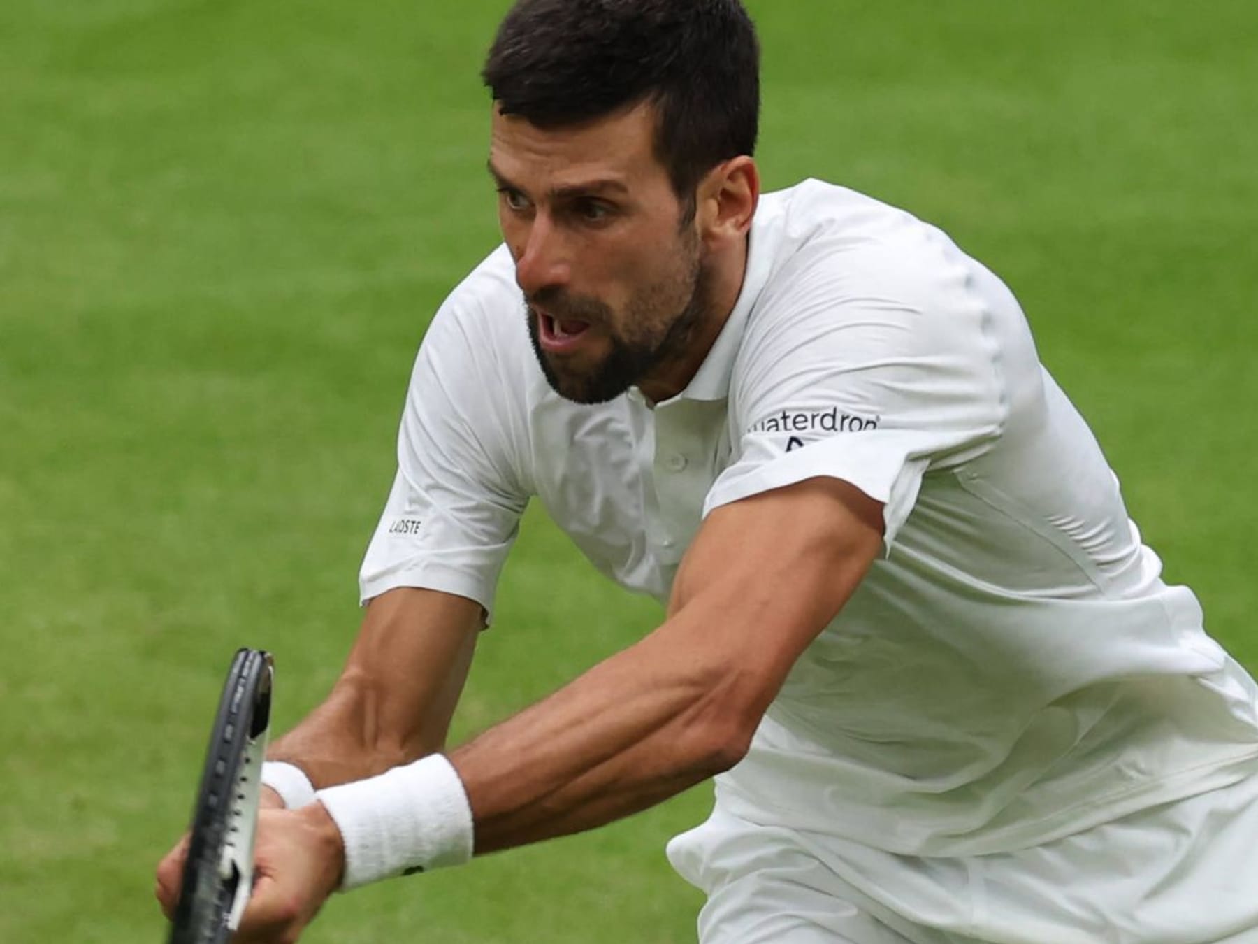Wimbledon Traumfinale zwischen Carlos Alcaraz und Novak Djokovic