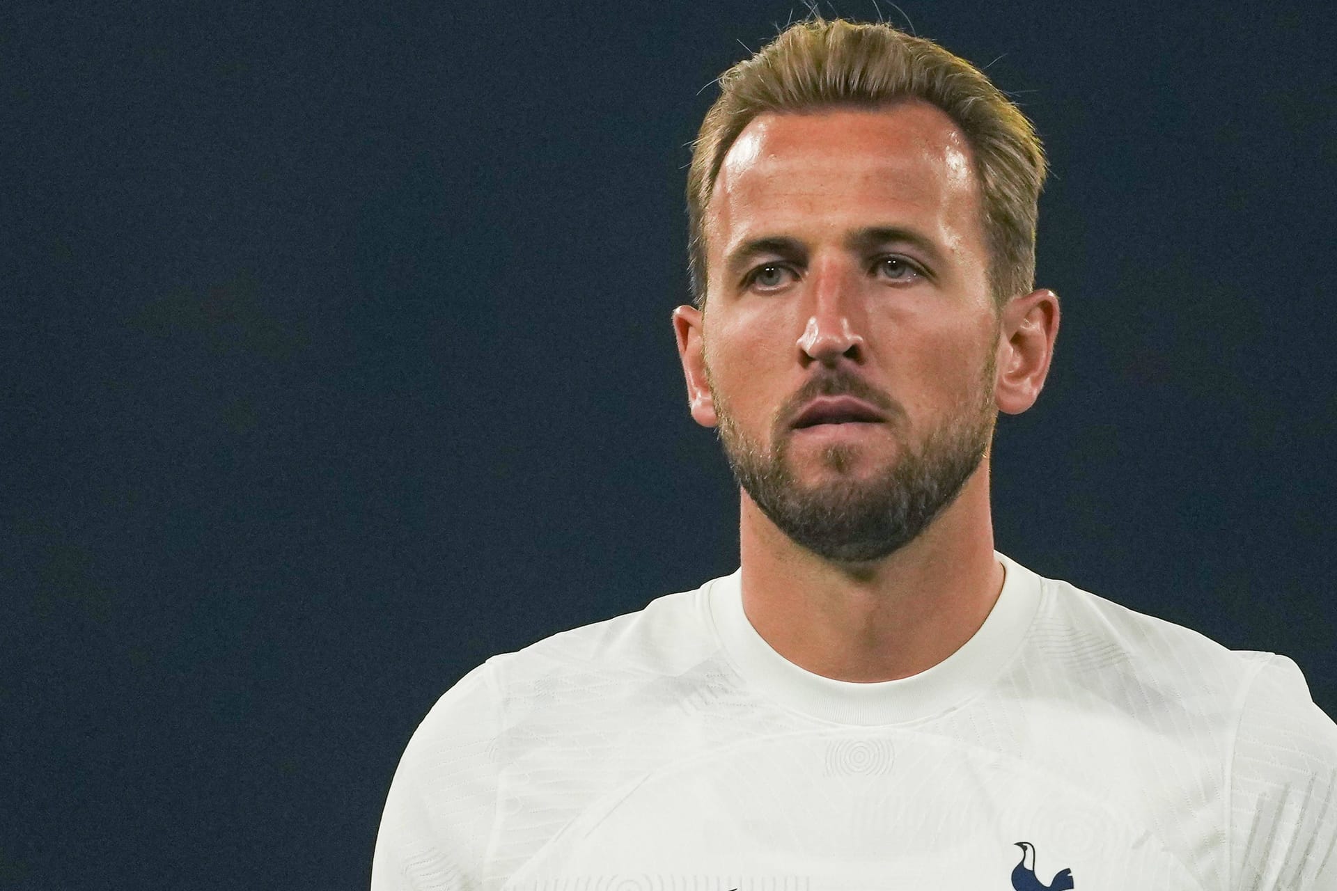 Harry Kane: Die Chancen auf einen Wechsel des Stürmers zum FC Bayern steigen weiter.