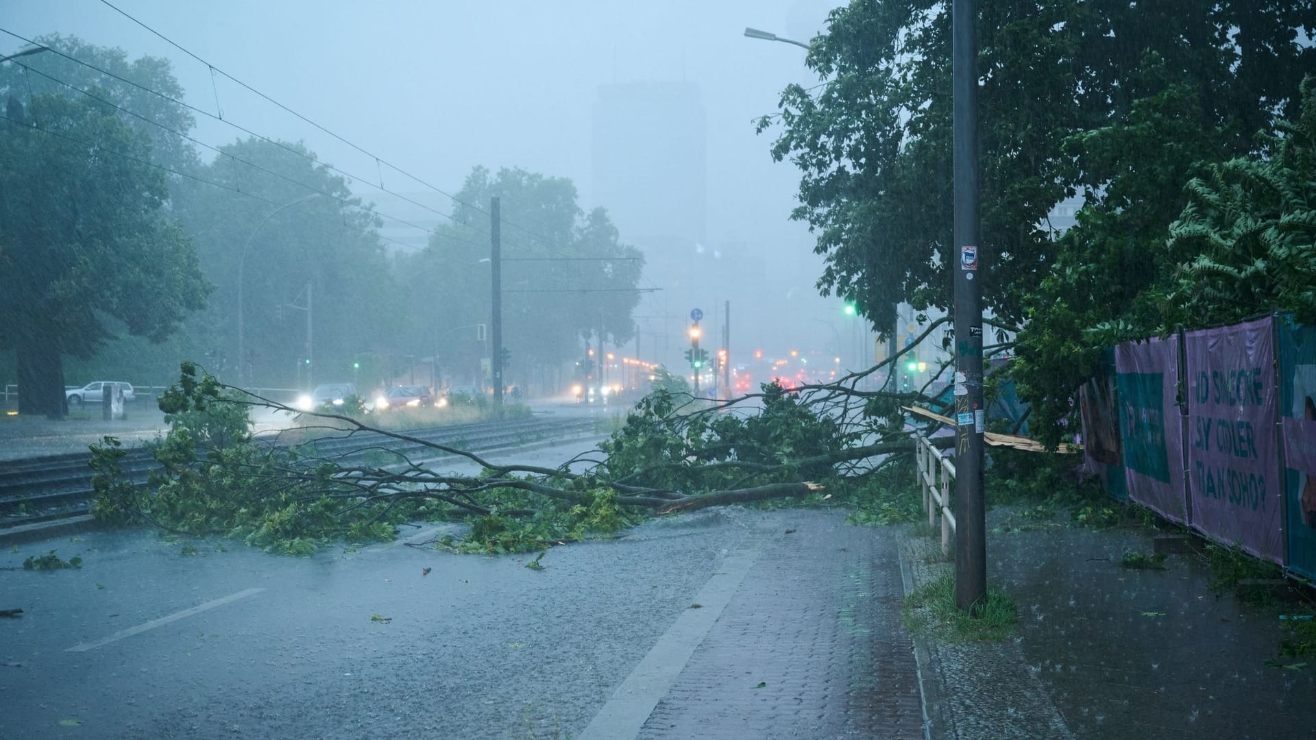 Ein umgestürzter Baum in Berlin (Symbolbild): Am Samstag ist in einigen Teilen Deutschland mit heftigen Schauern und Gewitter zu rechnen.