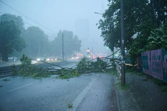 Ein umgestürzter Baum in Berlin (Symbolbild): Am Samstag ist in einigen Teilen Deutschland mit heftigen Schauern und Gewitter zu rechnen.