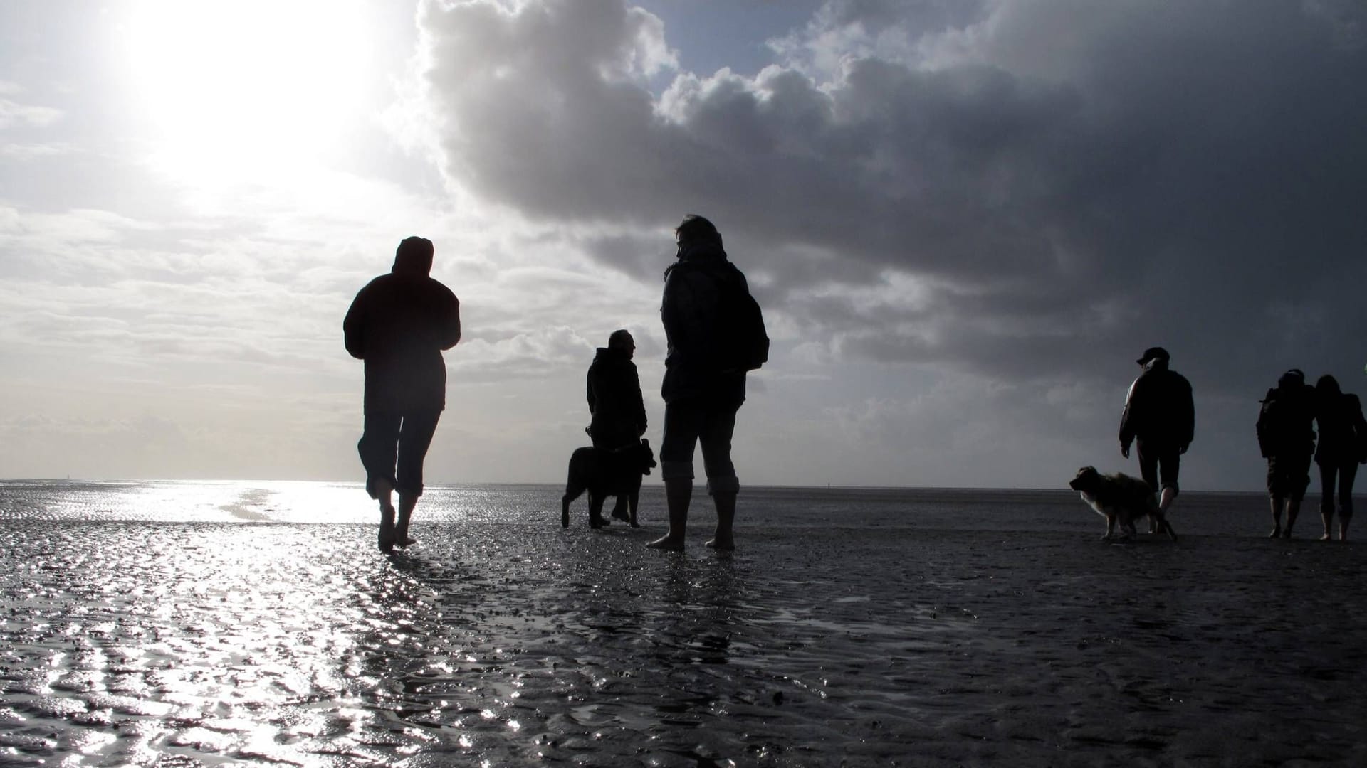 Wattwanderung an der Nordsee (Symbolbild): Was so harmlos aussieht, kann schnell lebensgefährlich werden, vor allem wenn die Flut kommt.