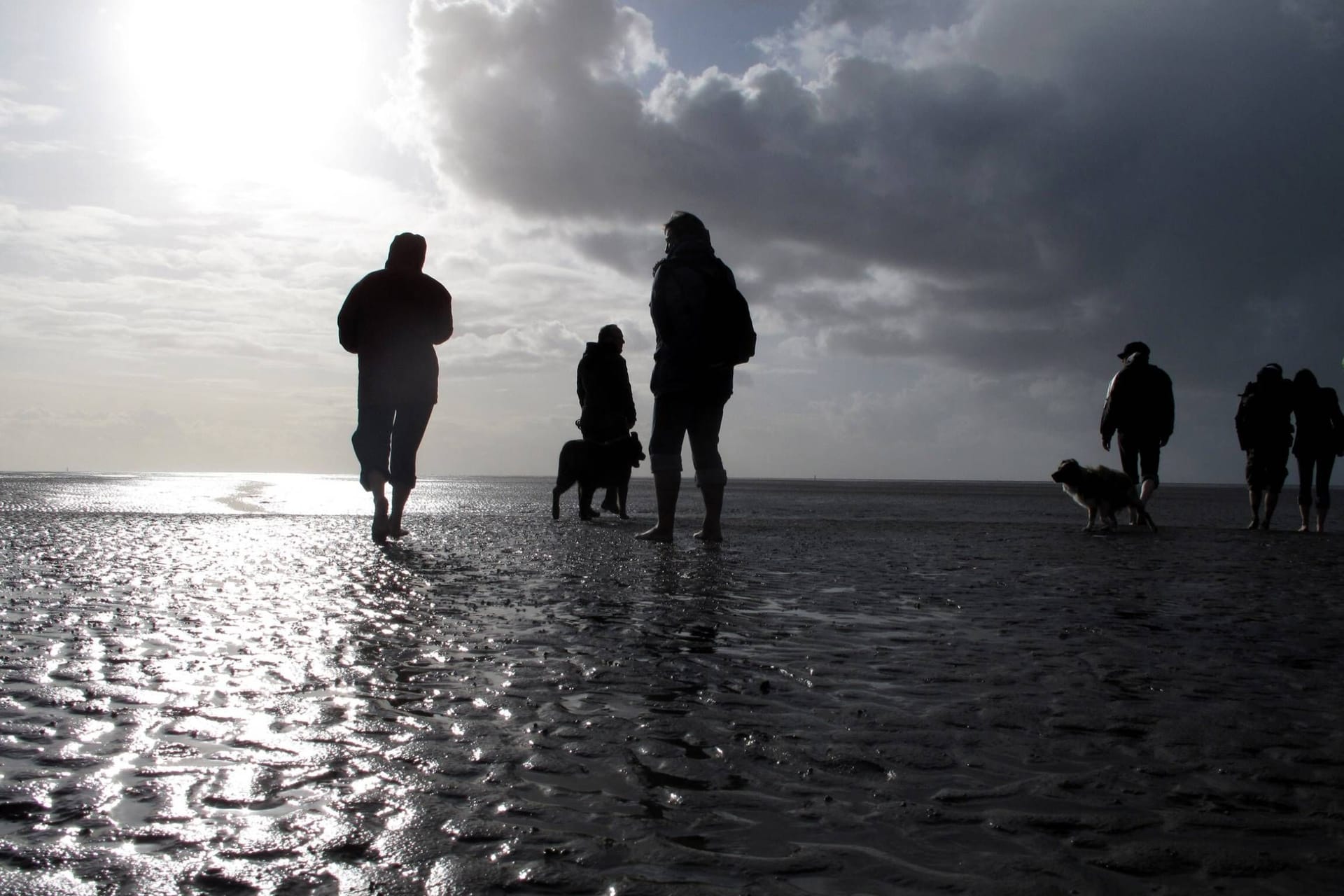 Wattwanderung an der Nordsee (Symbolbild): Was so harmlos aussieht, kann schnell lebensgefährlich werden, vor allem wenn die Flut kommt.