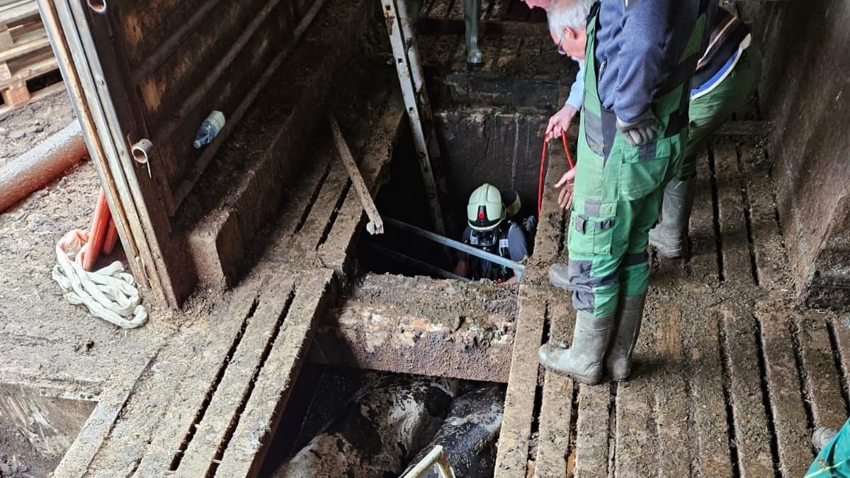 Einsatzkräfte halfen stundenlang den Tieren aus der angespannten Lage zu kommen.