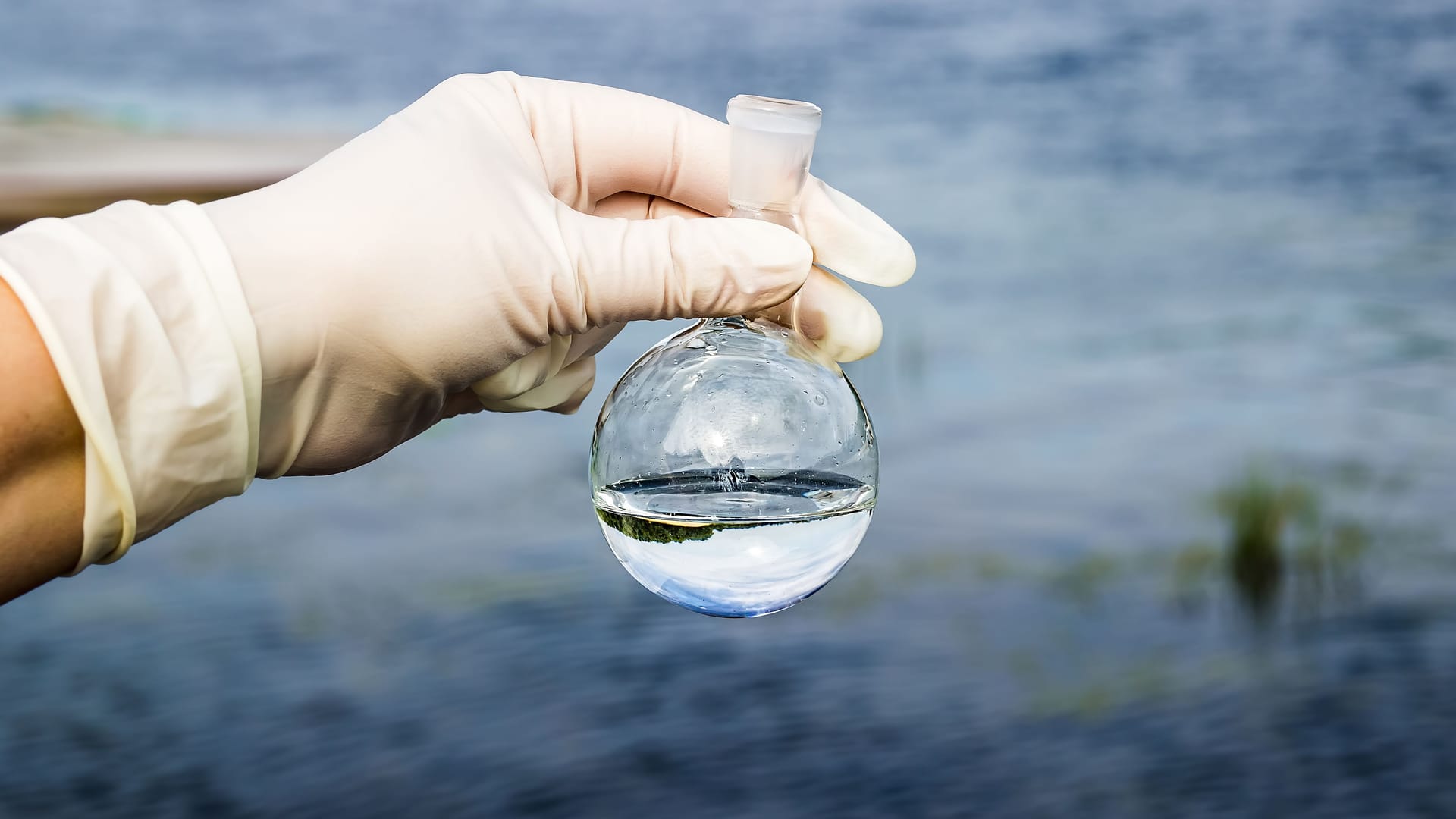 Jemand hält einen Rundkolben mit einer Wasserprobe hoch, im Hintergrund ist ein Gewässer zu sehen.