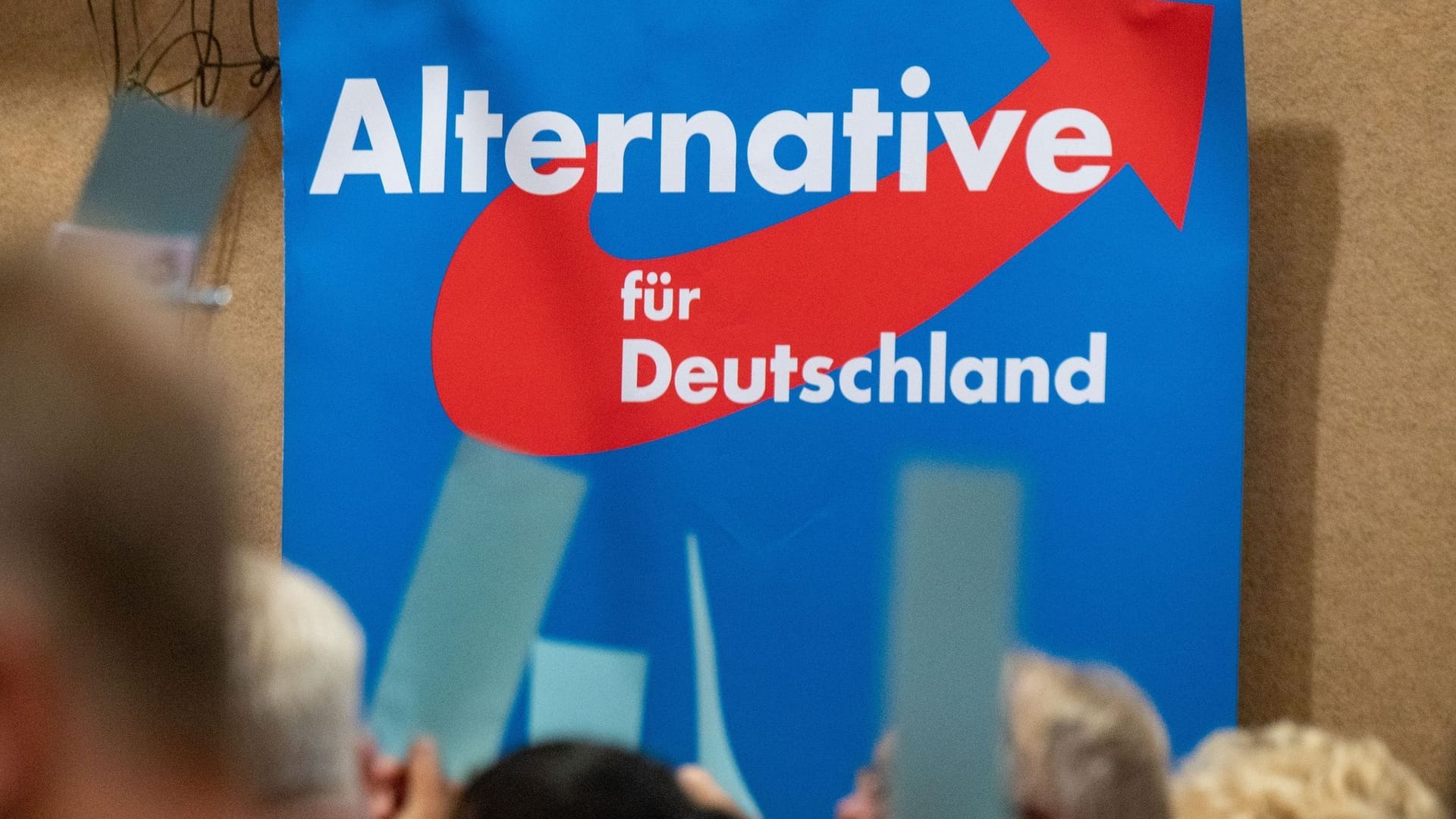 Plakat der AfD