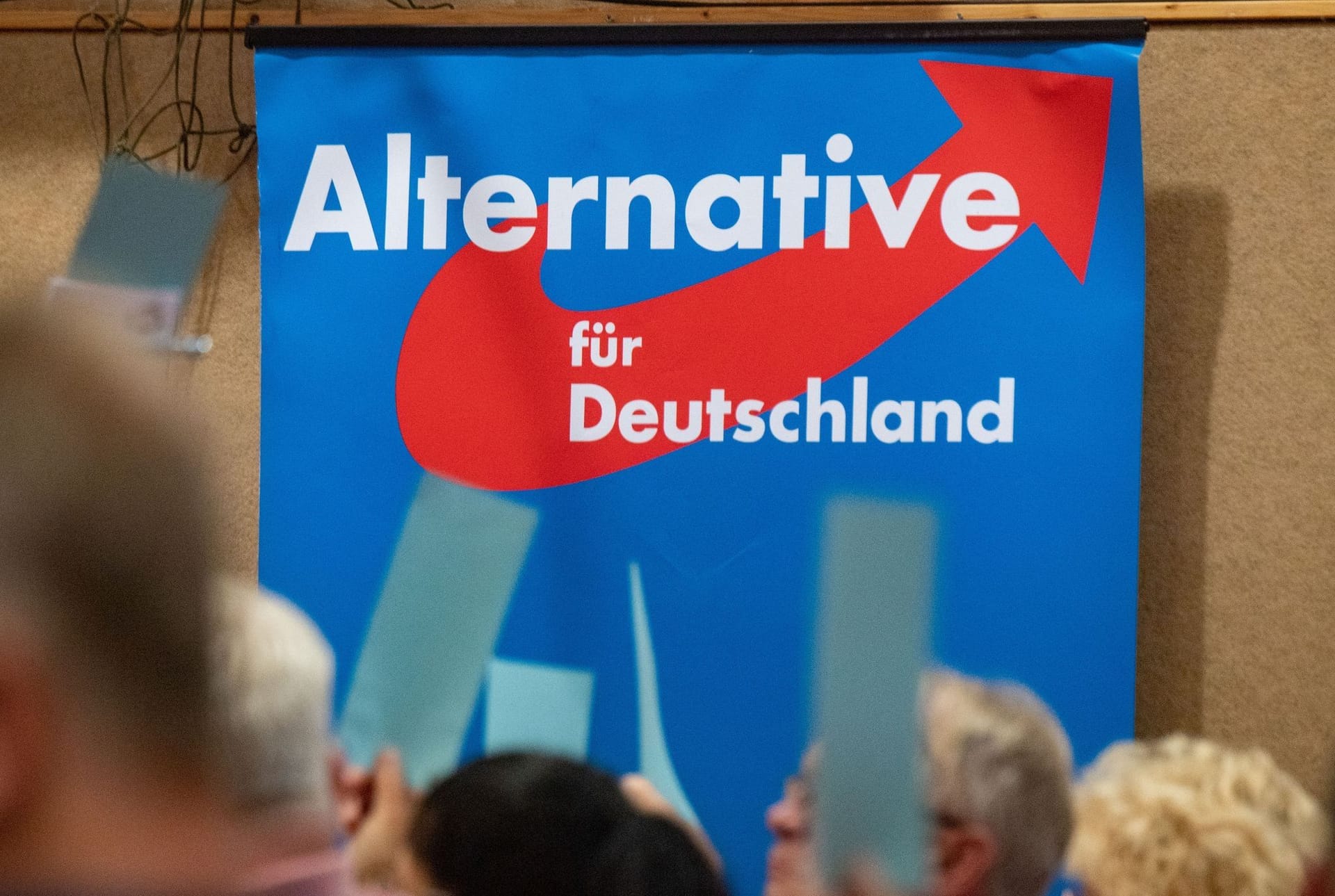 Plakat der AfD