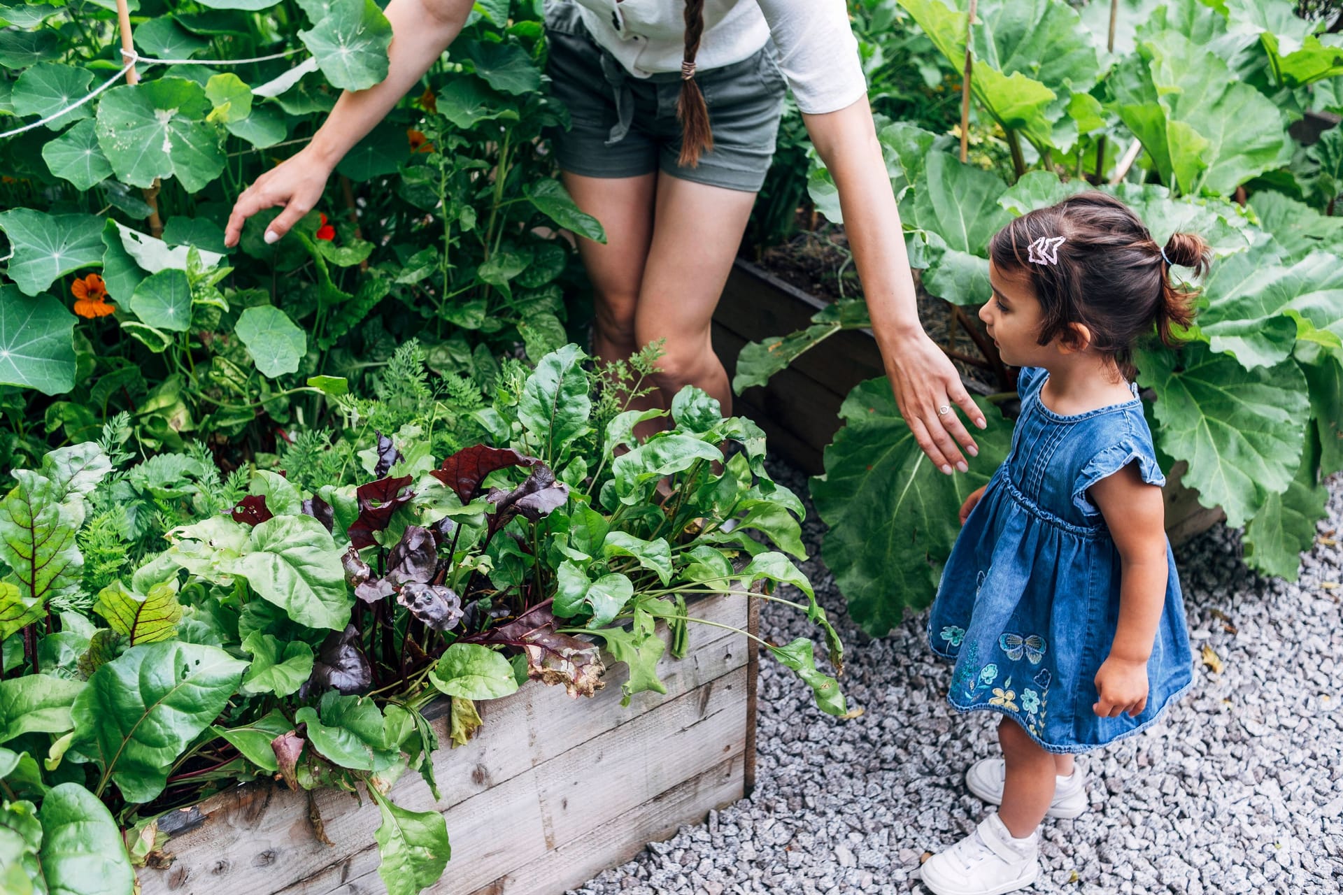 Vorsicht vor der Blume: Nicht alle Pflanzen im heimischen Garten sind ungefährlich.