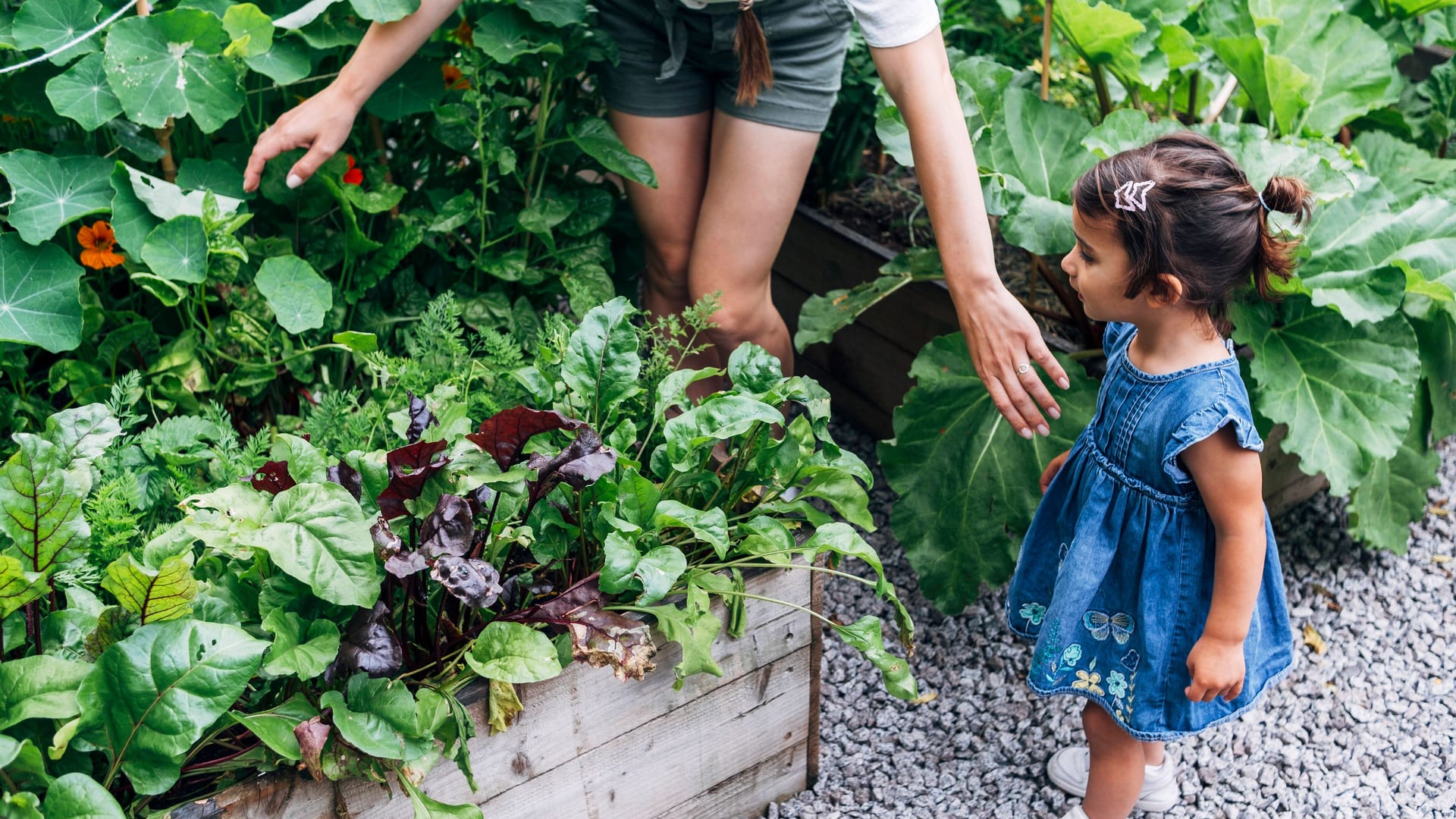 Vorsicht vor der Blume: Nicht alle Pflanzen im heimischen Garten sind ungefährlich.