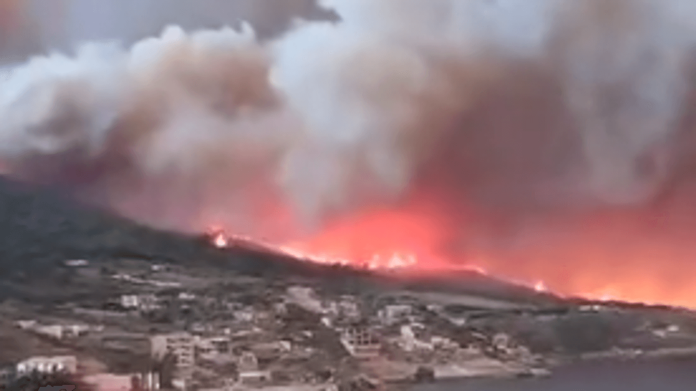 Feuer in Algerien: Mindestens 1.500 Menschen wurden evakuiert.