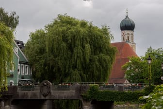 Die Amperbrücke mit Trauerweiden in Fürstenfeldbruck (Archivbild): Einer der charakteristischen Bäume fiel einem Unwetter zum Opfer.