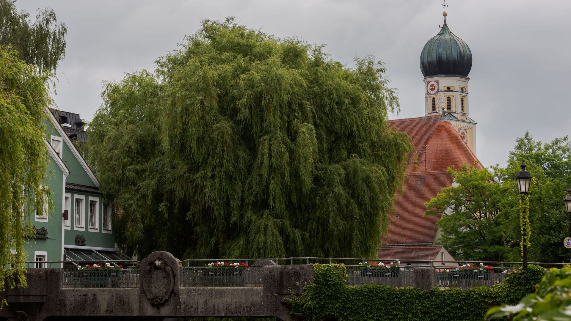 Die Amperbrücke mit Trauerweiden in Fürstenfeldbruck (Archivbild): Einer der charakteristischen Bäume fiel einem Unwetter zum Opfer.