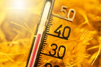 Hitze: Im Sommer 2022 war es besonders heiß – besonders viele Menschen starben an den Folgen.