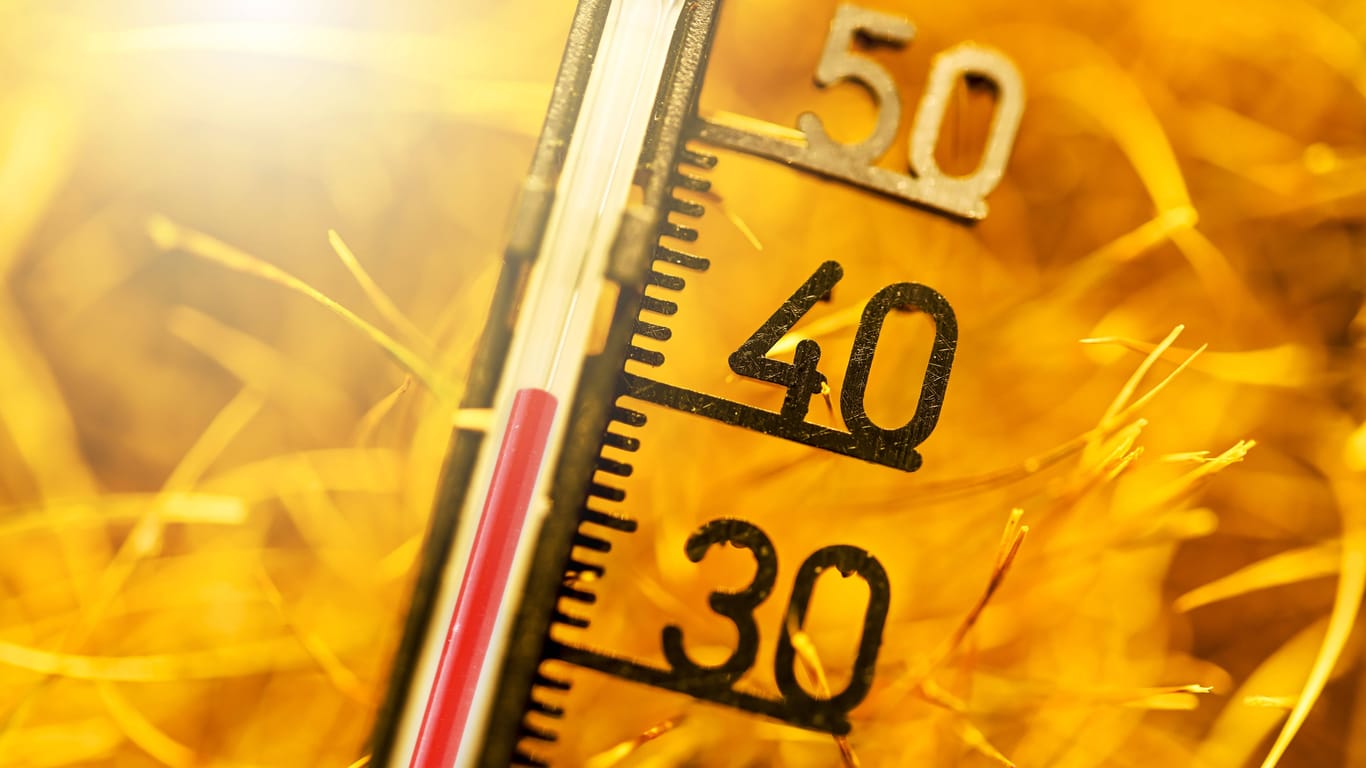 Hitze: Im Sommer 2022 war es besonders heiß – besonders viele Menschen starben an den Folgen.