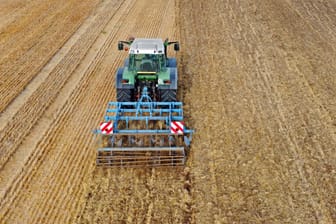 Ertragsausfälle in der Landwirtschaft: Die zunehmende Trockenheit führt zu weniger ertragreichen Ernten. 2022 fielen rund 670 Liter Regen pro Quadratmeter, das ist ein Minus von etwa 15 Prozent im Vergleich zum Zeitraum 1961-1990. Aber auch Hitze beeinträchtigt die Lese. (Hier zu sehen: Ernte in Niedersachsen.)