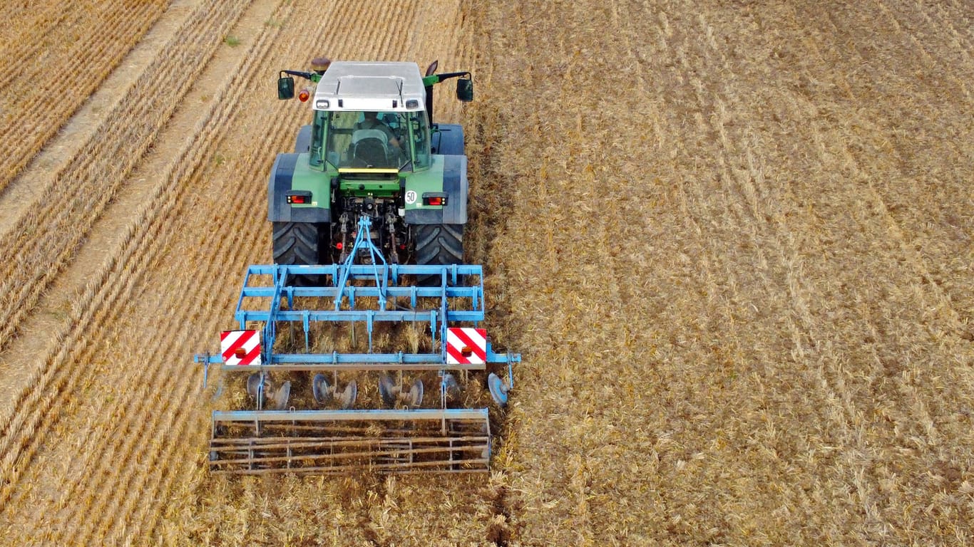 Ertragsausfälle in der Landwirtschaft: Die zunehmende Trockenheit führt zu weniger ertragreichen Ernten. 2022 fielen rund 670 Liter Regen pro Quadratmeter, das ist ein Minus von etwa 15 Prozent im Vergleich zum Zeitraum 1961-1990. Aber auch Hitze beeinträchtigt die Lese. (Hier zu sehen: Ernte in Niedersachsen.)