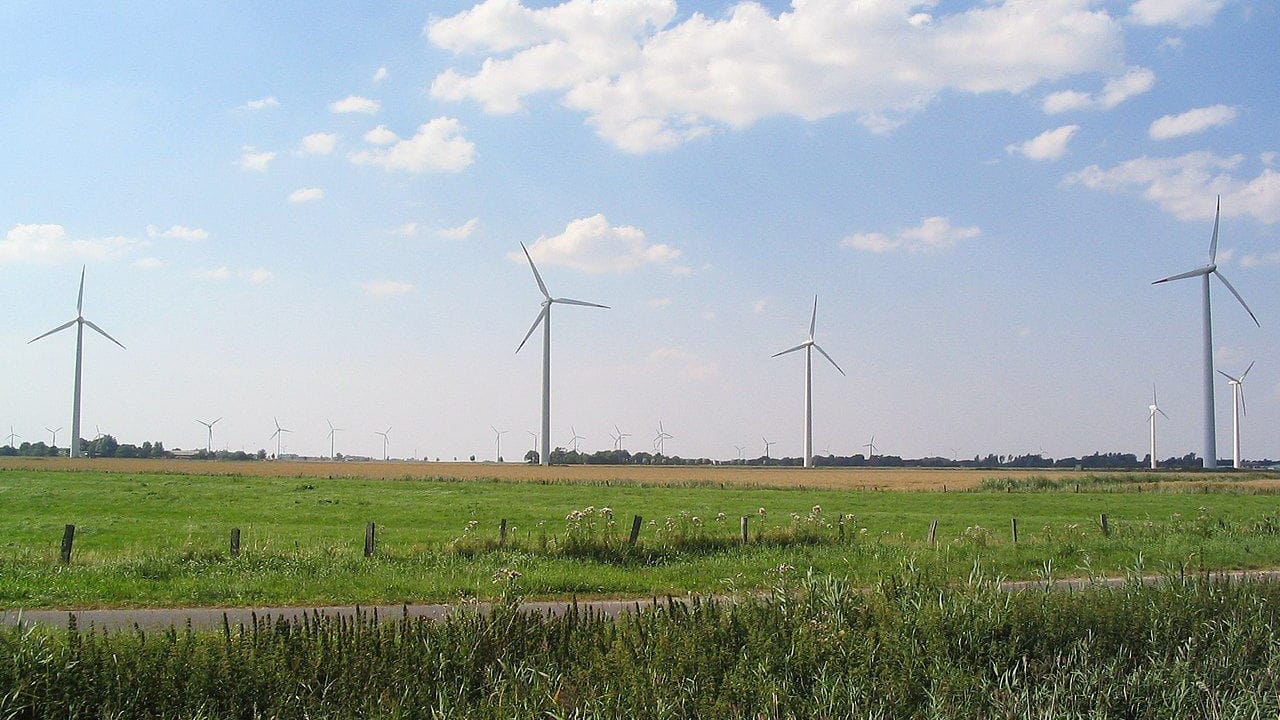 Neuenkirchen im Kreis Dithmarschen: Northolt will hier eine Batteriefabrik auf die grüne Wiese setzen.