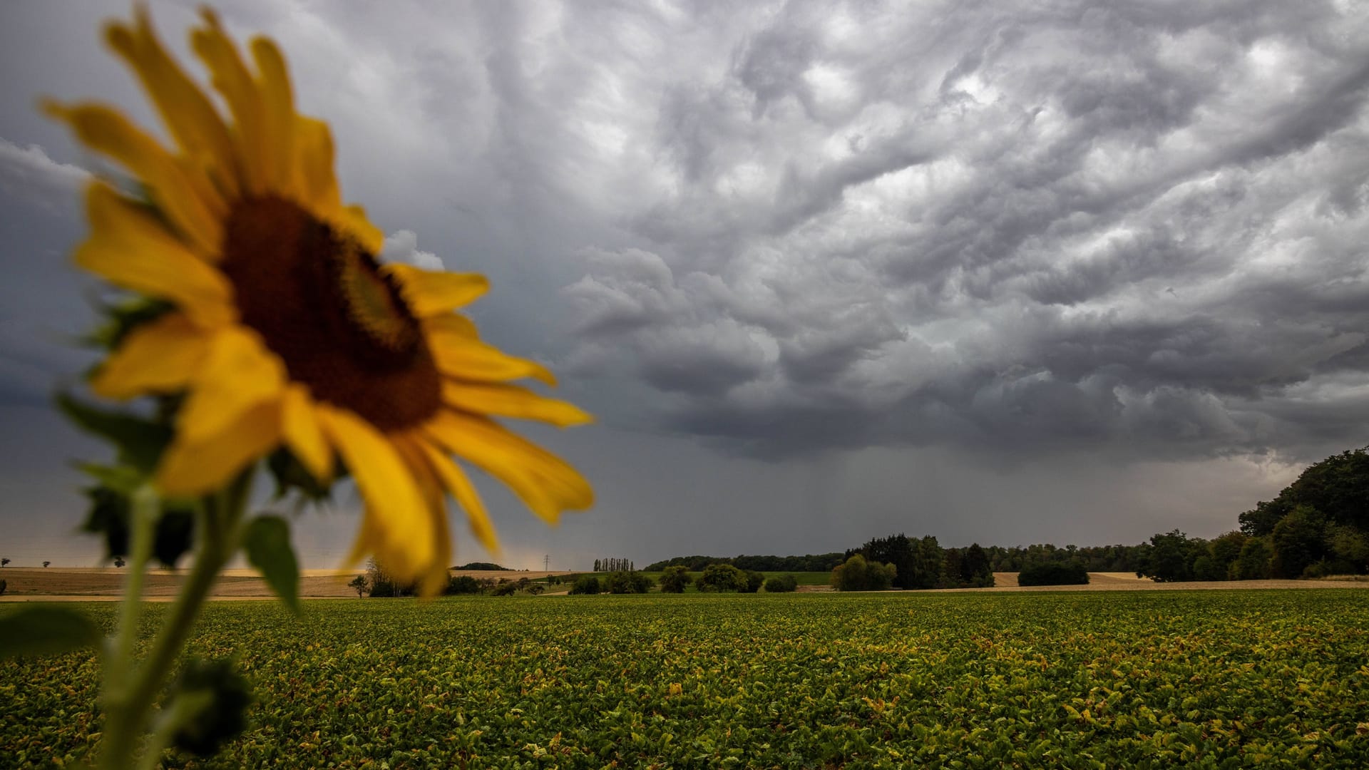 Gewitter im Rhein-Main-Gebiet (Archivfoto): Das Wochenende wird wechselhaft.