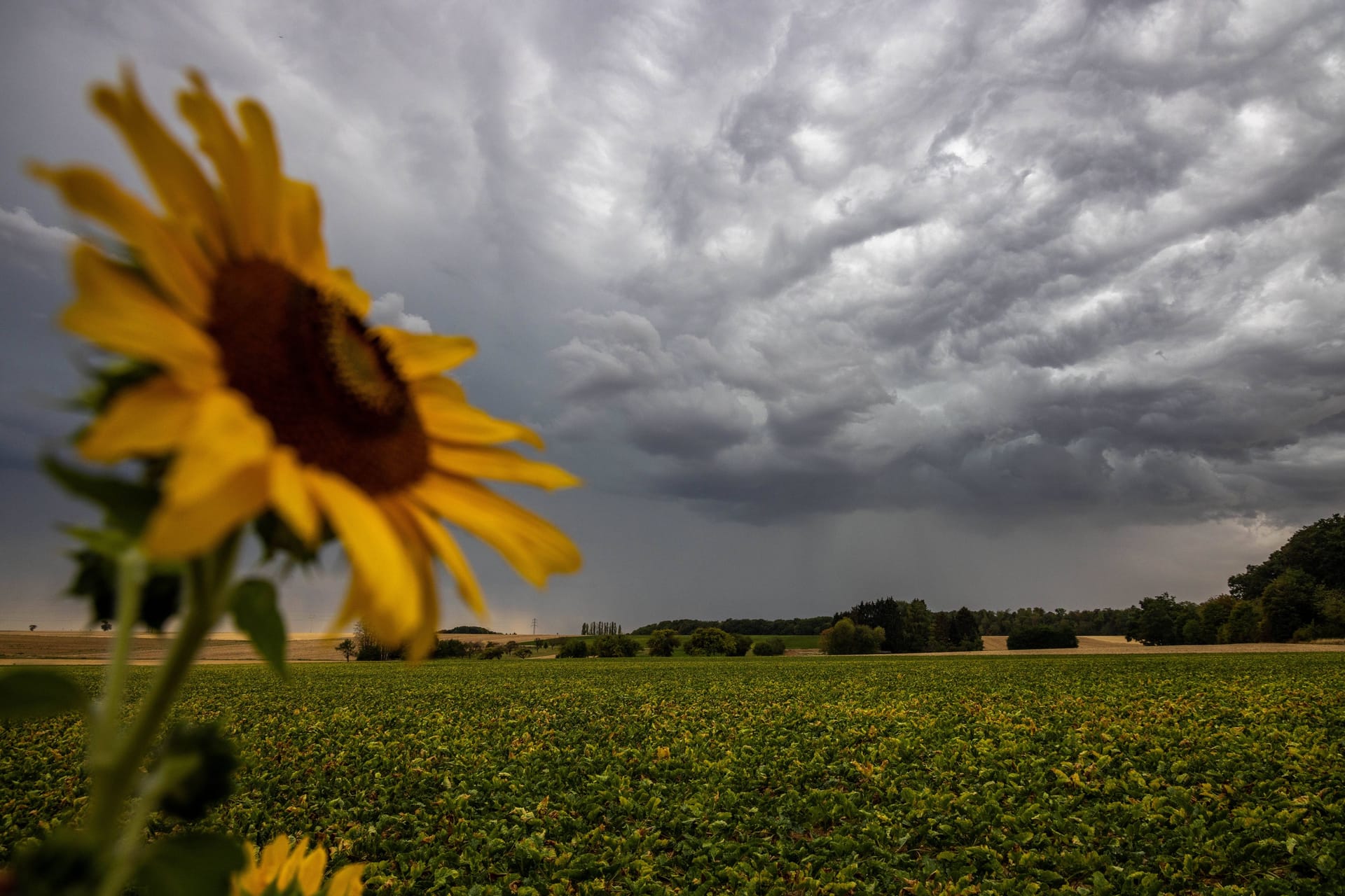 Gewitter im Rhein-Main-Gebiet (Archivfoto): Das Wochenende wird wechselhaft.