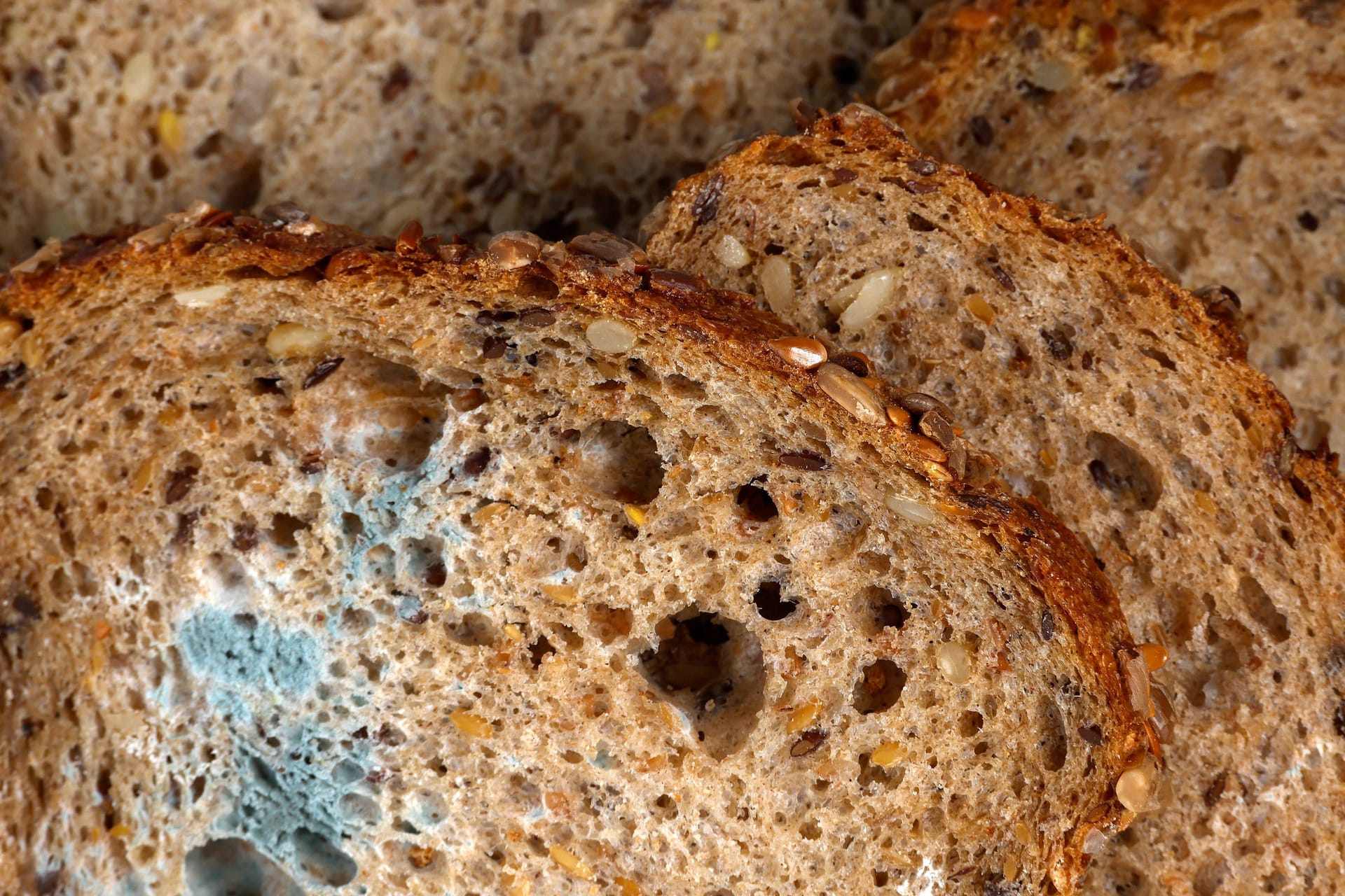 Schimmel: Zeigt sich Schimmel auf Brot, sollten Sie den Laib lieber entsorgen.