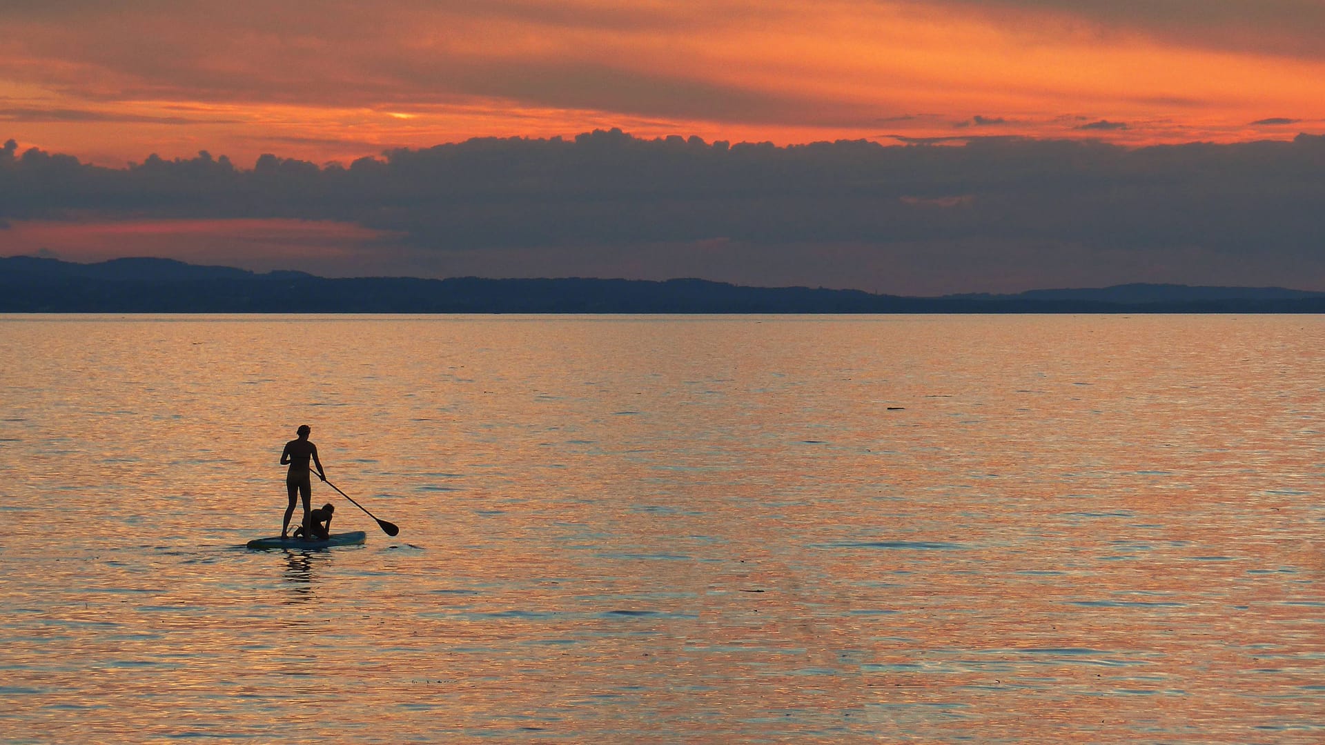 Stand-up-Paddler am Bodensee (Symbolbild): Ein 24-Jähriger ist verschwunden. Stand-up-Paddler am Bodensee (Symbolbild): Ein 24-Jähriger ist verschwunden.