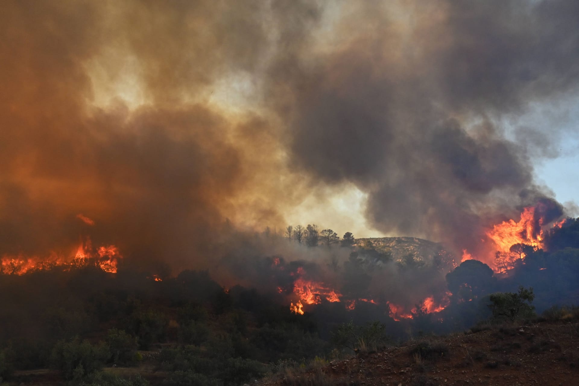 Feuer nördlich von Athen: Seit Tagen wüten Brände in Griechenland.