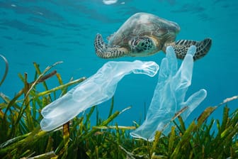 Plastikhandschuhe im Meer (Symbolbild): Die Plastikverschmutzung im Meer ist wohl noch größer als bisher angenommen.