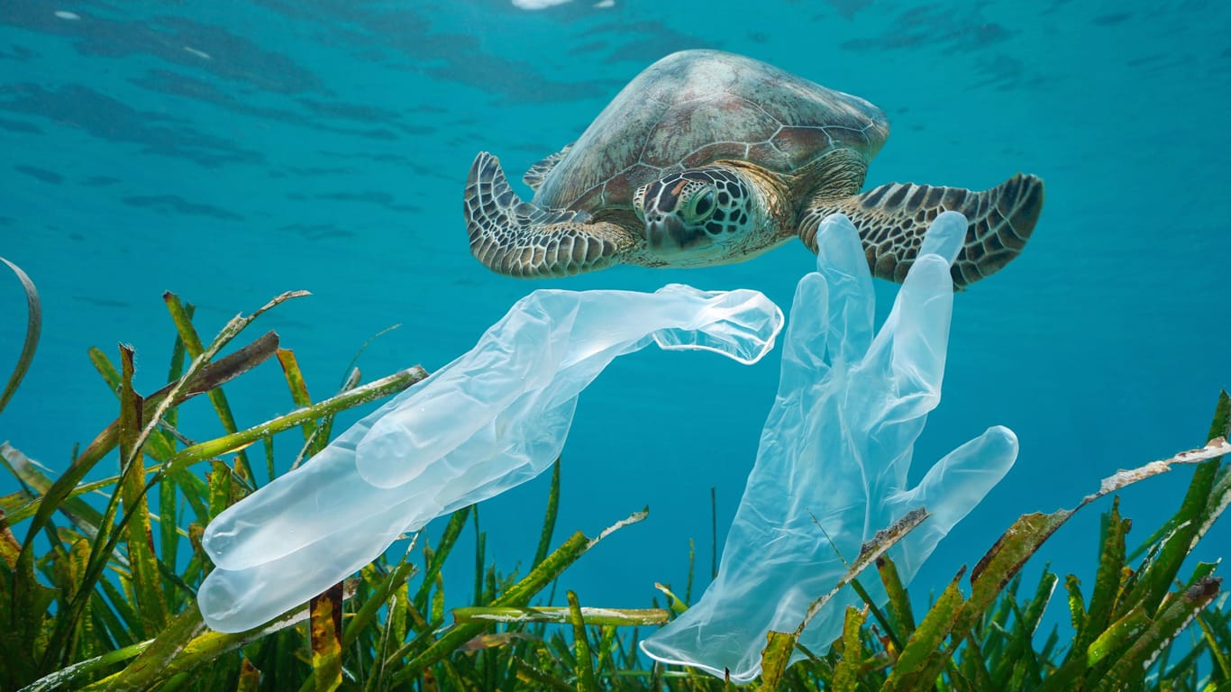 Plastikhandschuhe im Meer (Symbolbild): Die Plastikverschmutzung im Meer ist wohl noch größer als bisher angenommen.