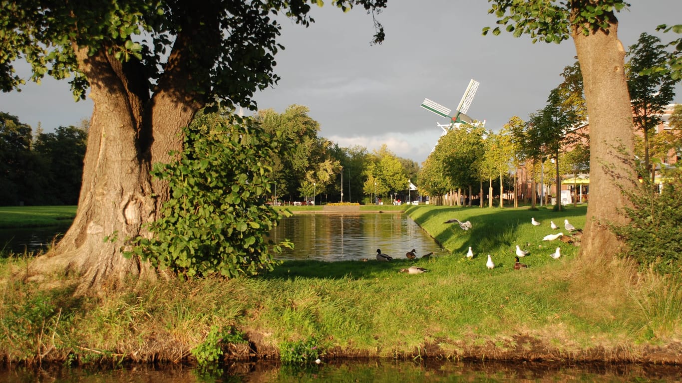 Der Stadtpark mit Meyers-Mühle in Papenburg (Archivfoto): Durch die Grünanlage führt ein etwa eineinhalb Kilometer langer Spazierweg.