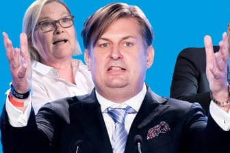 Irmhild Boßdorf, Maximilian Krah, Petr Bystron (v.l.): Sie sollen für die AfD ins EU-Parlament.