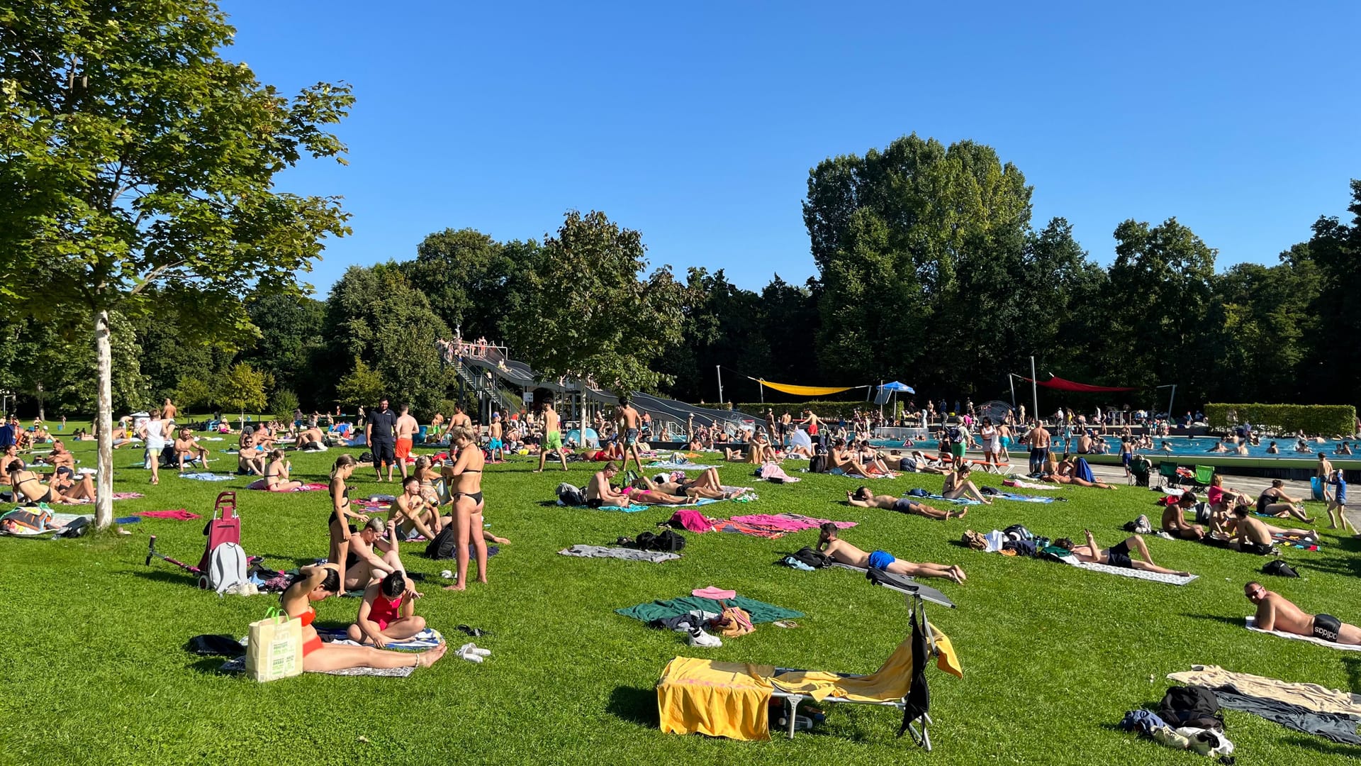 Die Liegewiese im Westbad am Freitagnachmittag: Das Westbad ist das größte Freibad in Nürnberg.