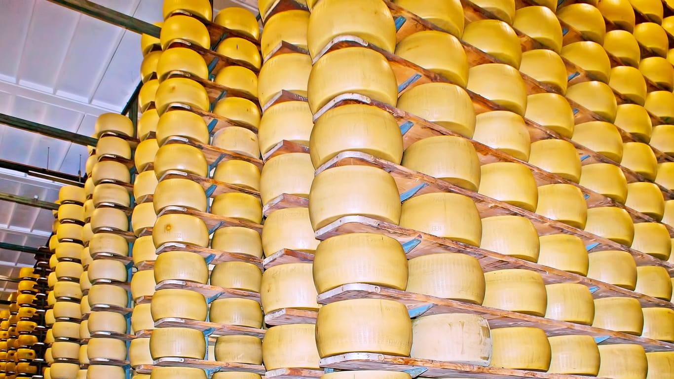 Regale voller Käse (Symbolbild): In einer Kettenreaktion stürzten die Regale mit 25.000 Laiben um.