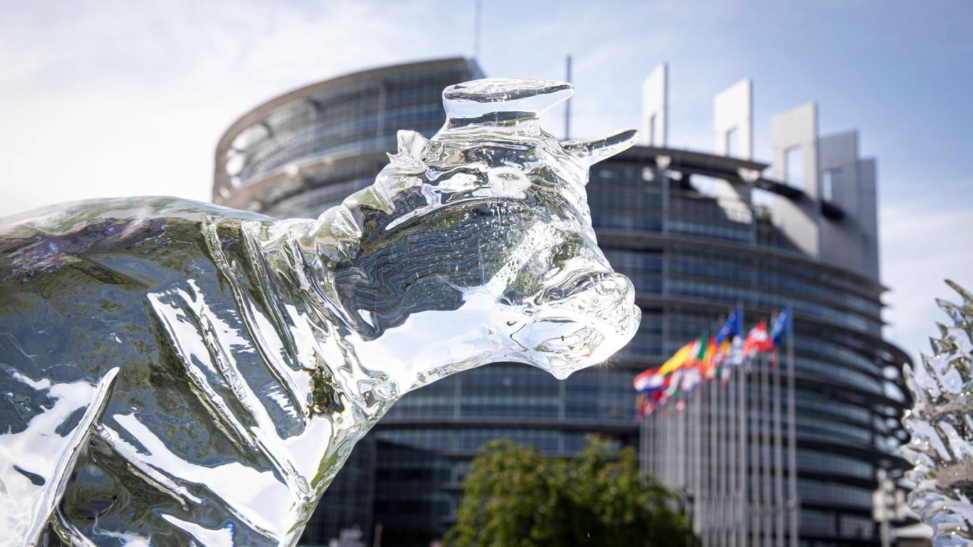Mit einer Rinderskulptur aus Eis protestieren Klimaschützer vor dem EU-Parlament in Straßburg gegen die Umweltschäden durch Massentierhaltung (Archivbild): Die Viehhaltung produziert ein Fünftel aller Treibhaugase.