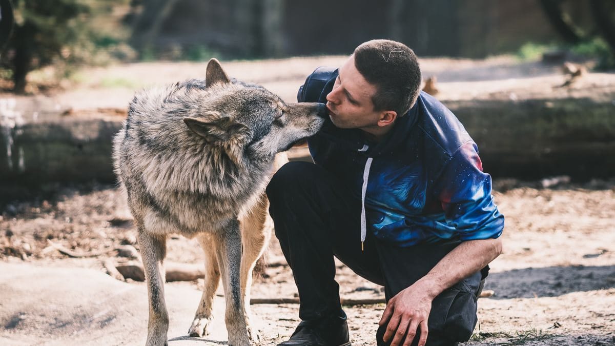 Ein Werbefoto des Filmtierparks Eschede: Am Mittwoch kam es zu einer Beißattacke auf einen kleinen Jungen.