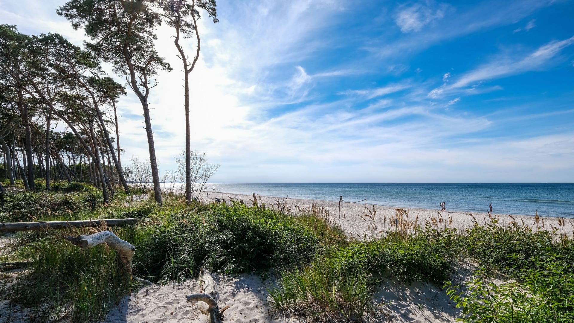 Ostsee-Strand in Mecklenburg-Vorpommern: