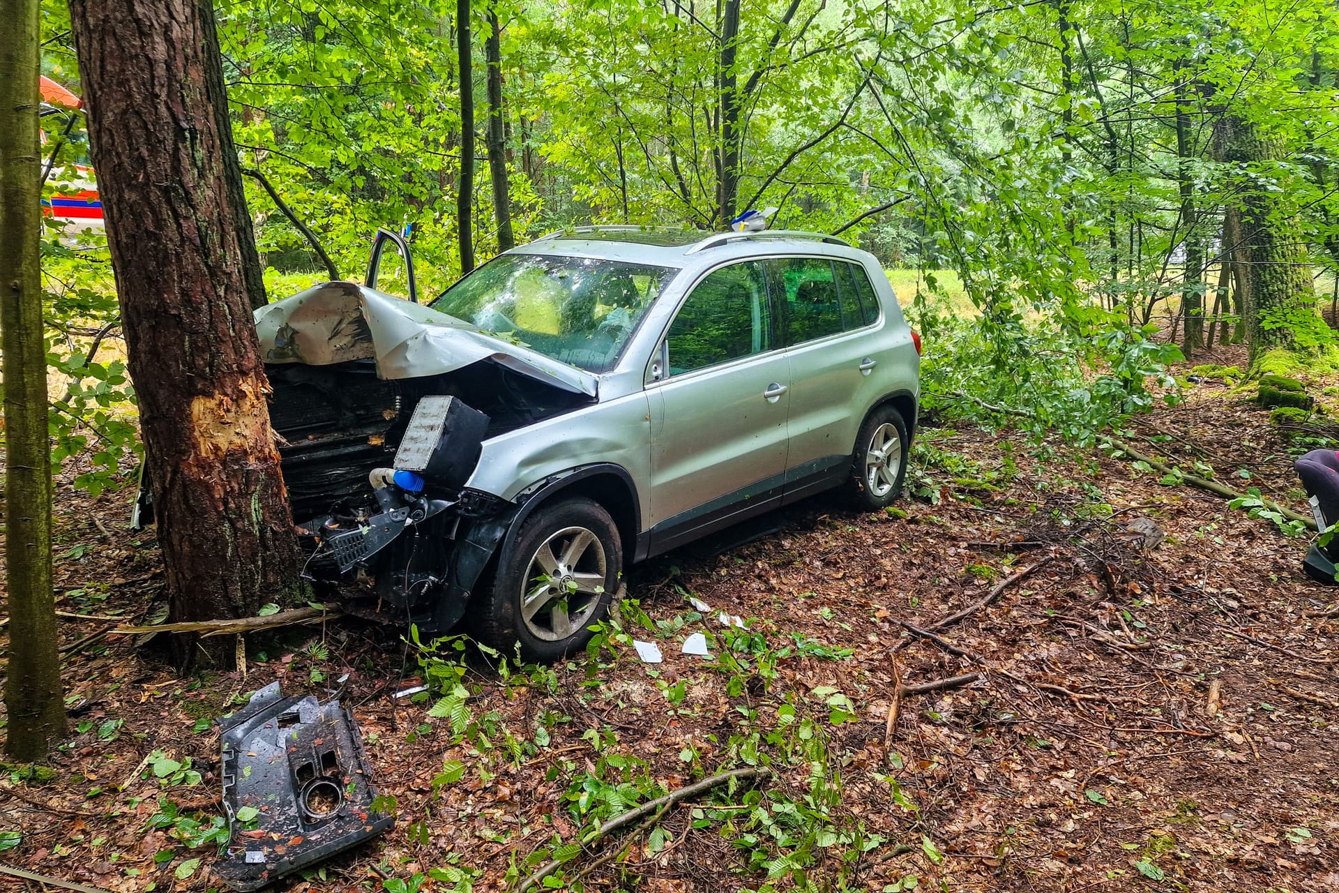 Die 33-Jährige verlor die Kontrolle über ihr Auto und prallte gegen einen Baum.