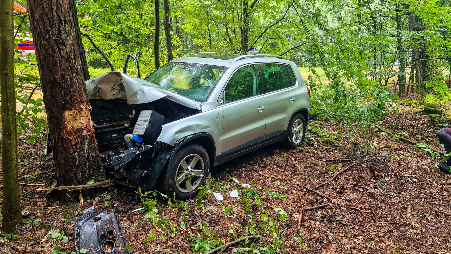 Die 33-Jährige verlor die Kontrolle über ihr Auto und prallte gegen einen Baum.