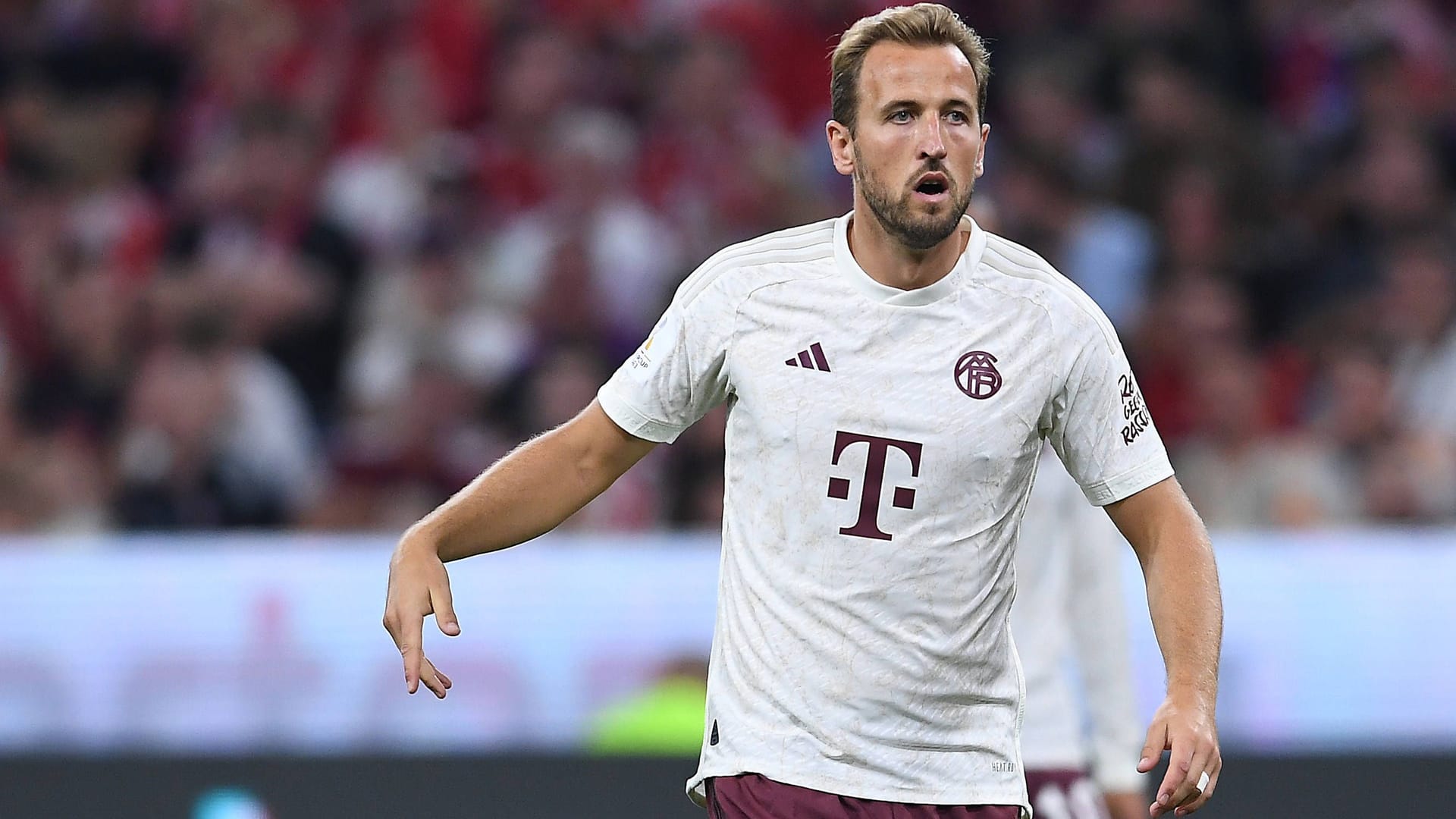 Harry Kane: Der Torjäger ist neu beim FC Bayern.