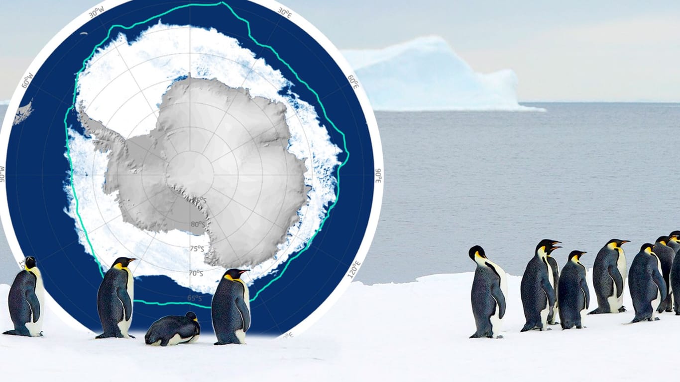 Animation zeigt alarmierende Entwicklung in der Antarktis