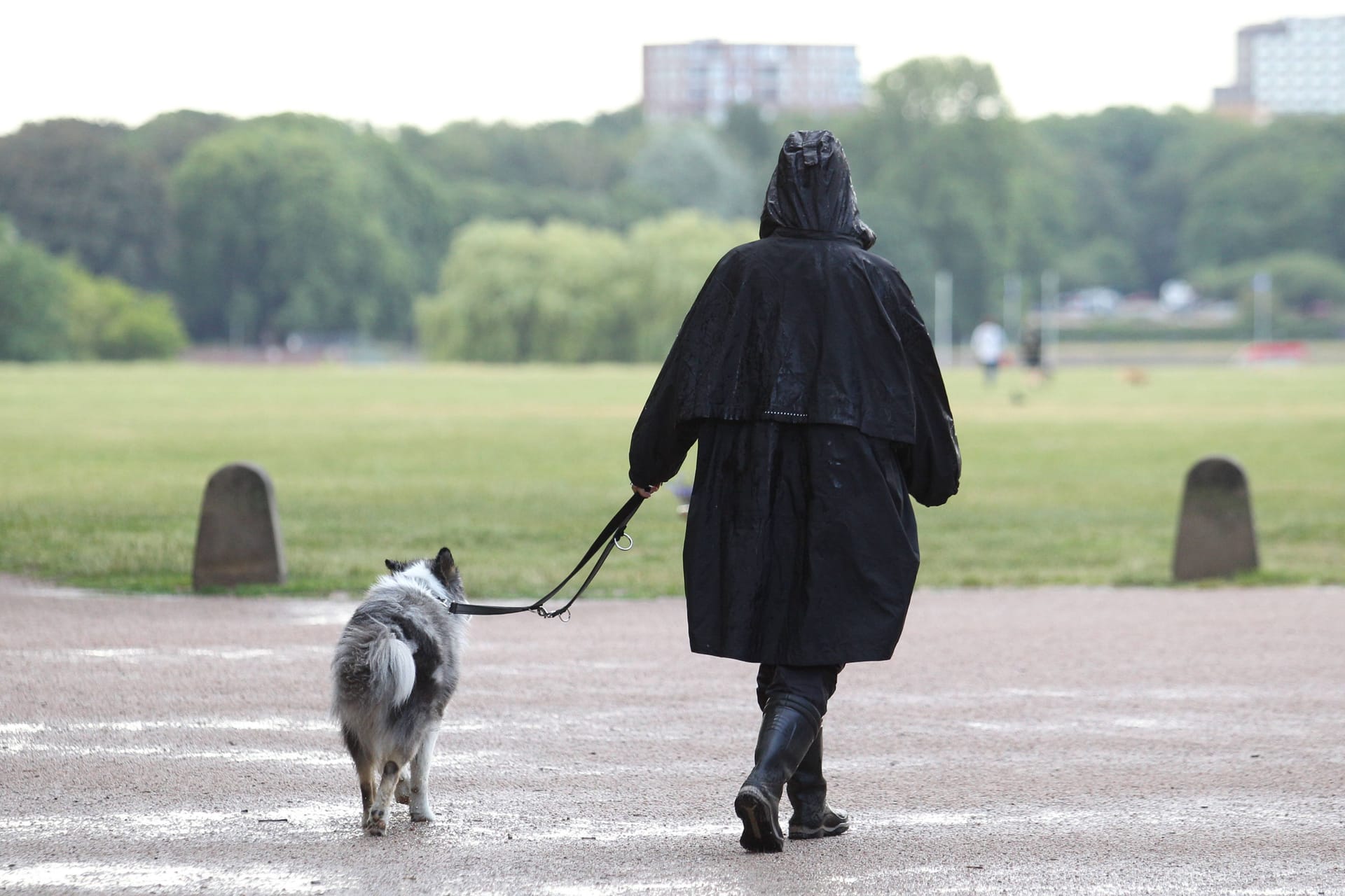 Eine Frau geht bei Regen mit ihrem Hund spazieren (Symbolbild): Der Wochenstart in NRW wird trüb.