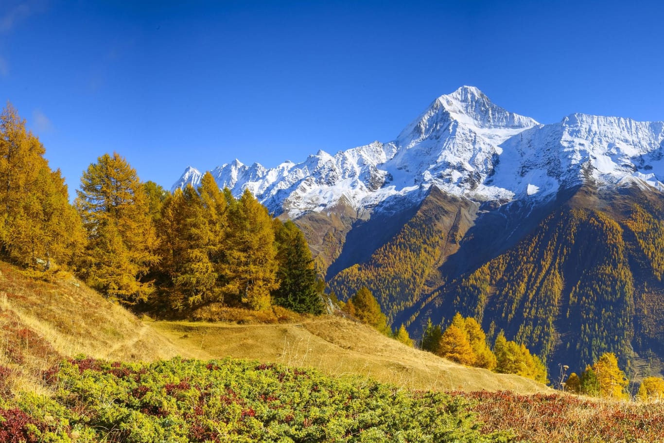 Blick auf das Bietschhorn im Schweizer Kanton Wallis: Die Frostgrenze in den Schweizer Alpen ist erneut deutlich nach oben gerutscht: Die Marke liegt nochmals 114 Meter höher als zuletzt.