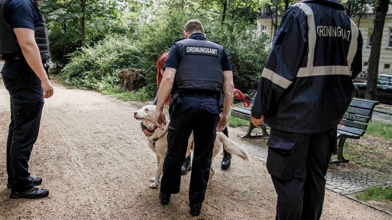 Das Ordnungsamt lässt sich von einem Hundebesitzer die Papiere für das Tier zeigen