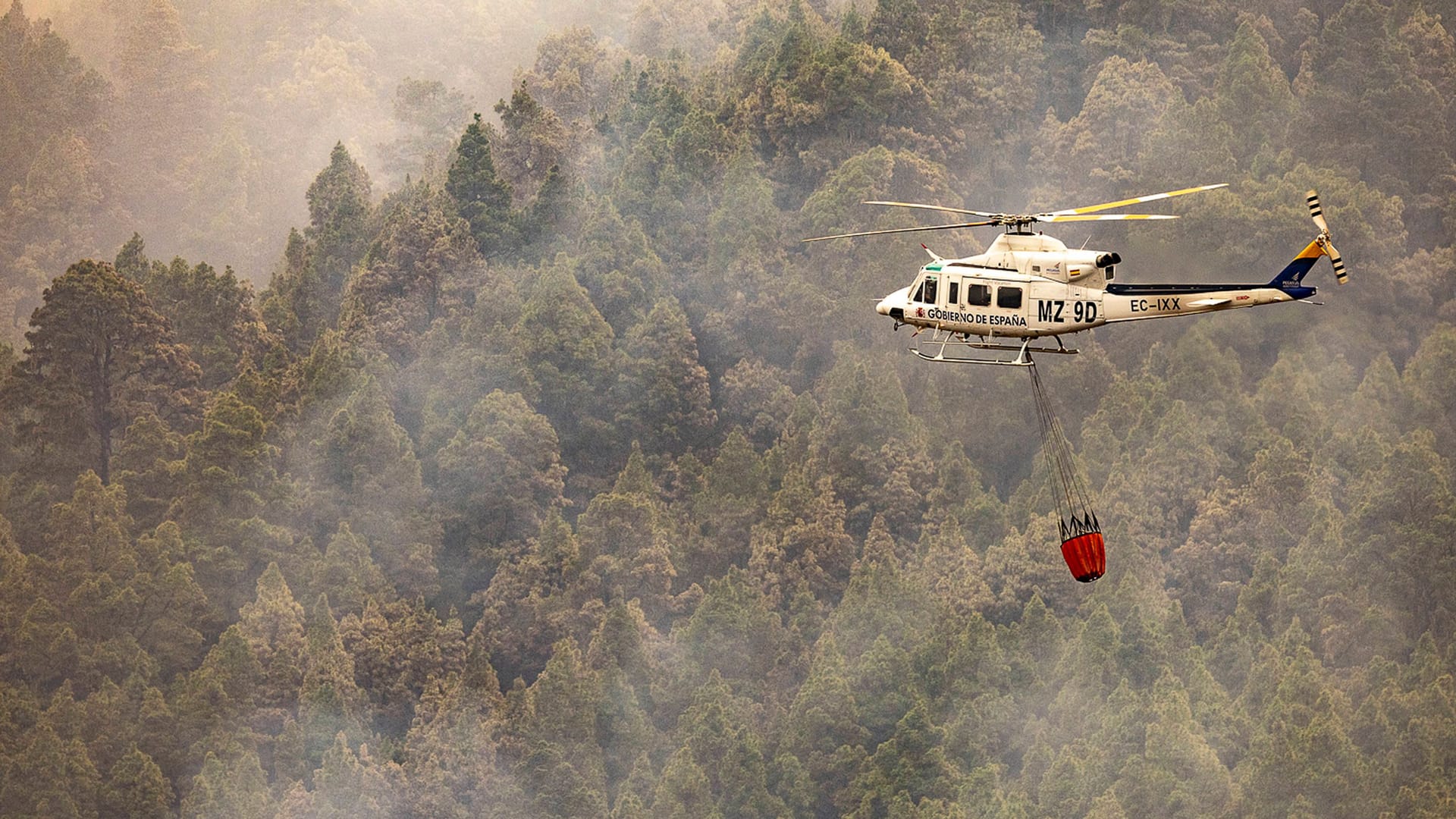 Seit Tagen versuchen die Einsatzkräfte auf Teneriffa den Flammen Herr zu werden.