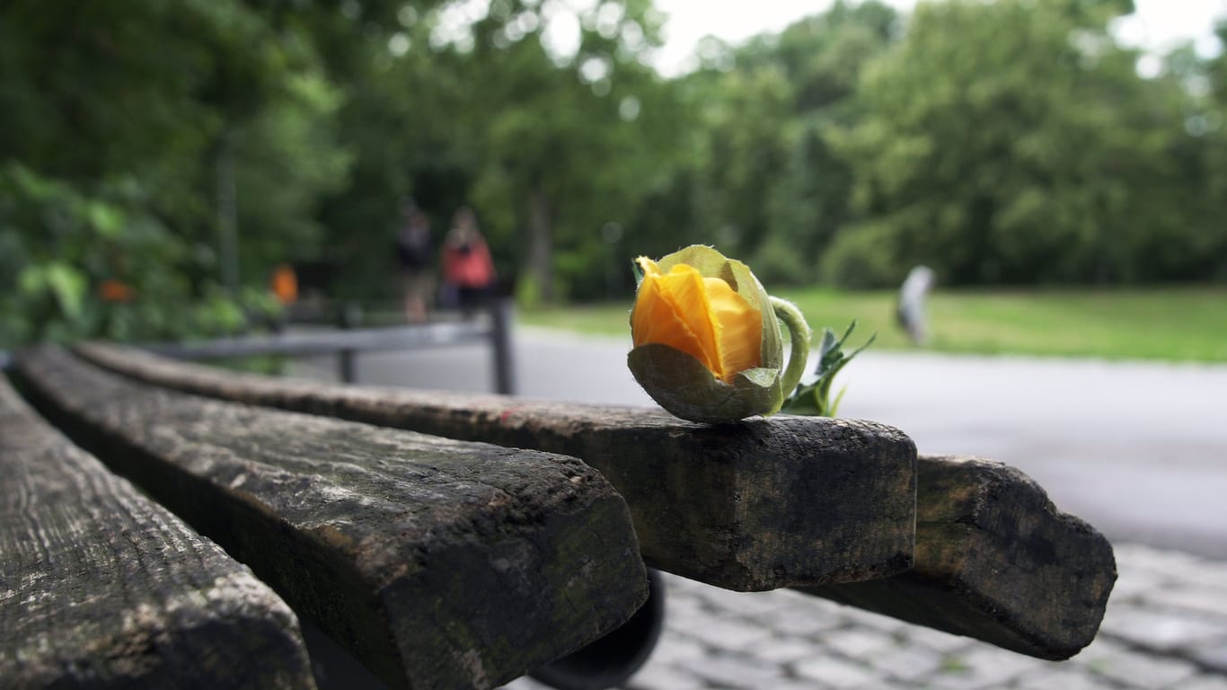 Eine Blume liegt auf einer Parkbank im "Görli": Im Park gibt es zahlreiche Sportangebote.