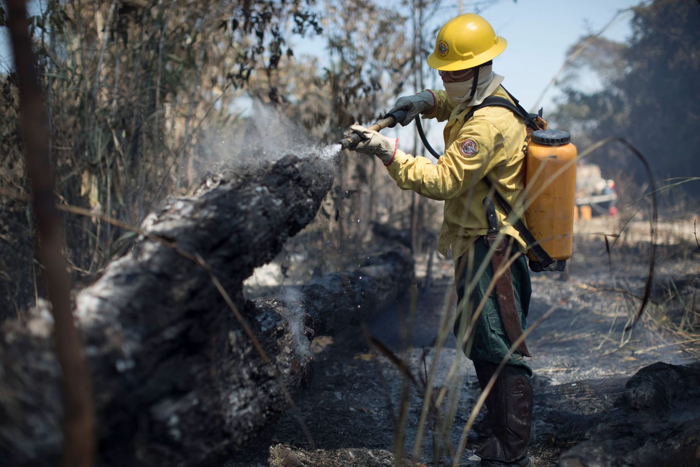 Brand im Amazonas: Die Staaten wollen die Zusammenarbeit beim Klimaschutz intensivieren.