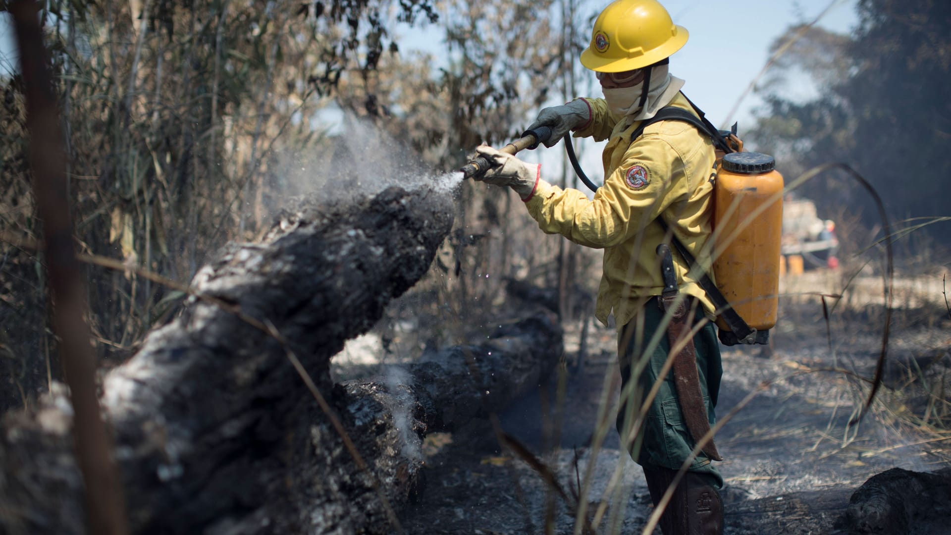 Brand im Amazonas: Die Staaten wollen die Zusammenarbeit beim Klimaschutz intensivieren.