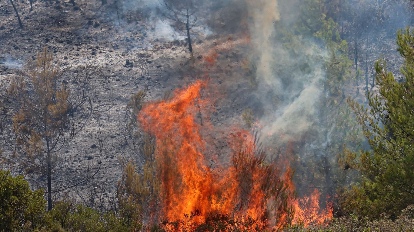 Waldbrände auf Rhodos: Zahlreiche Touristen mussten evakuiert werden.