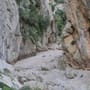 Urlaub: Mallorca dreht Insel-Besuchern das Wasser ab